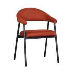 Eetkamerstoelen*HUUS Eetkamerstoel Amaze (per 2 stuks)